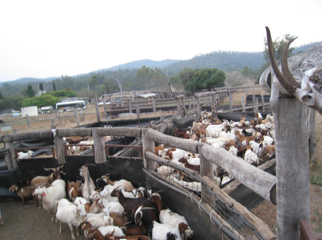 Kroombit Park-Biloela必去景点