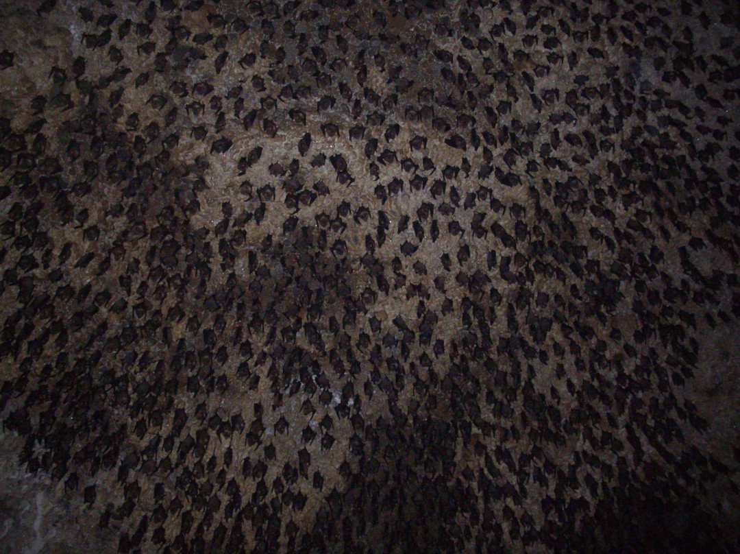 Chamere Gufa-博卡拉必去景点