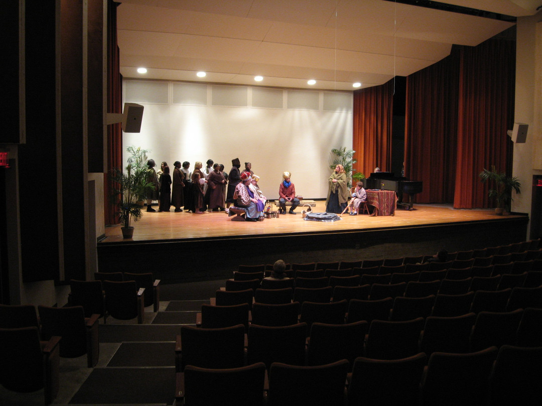 Flint Institute of Music-弗林特必去景点