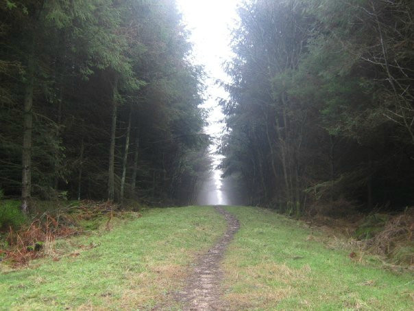 Dalby Forest景点图片