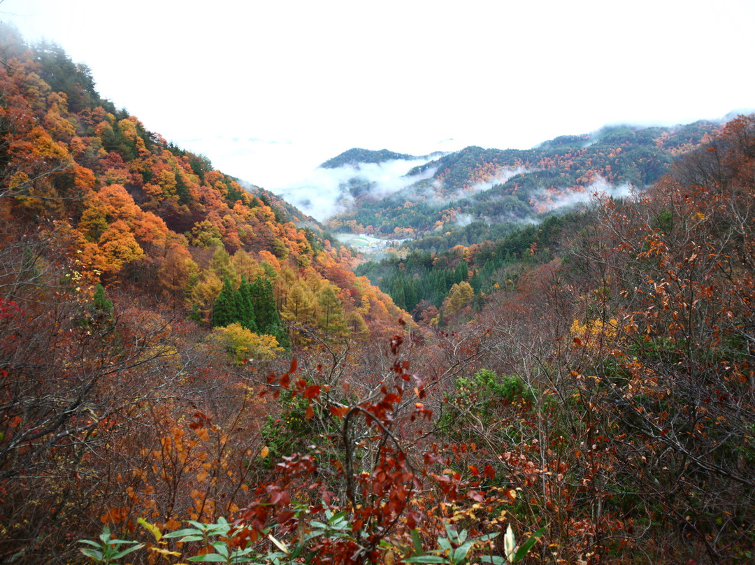 里山游览-高山市必去景点