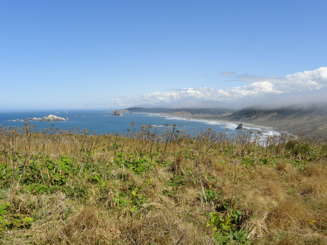 Cape Blanco Lighthouse景点图片