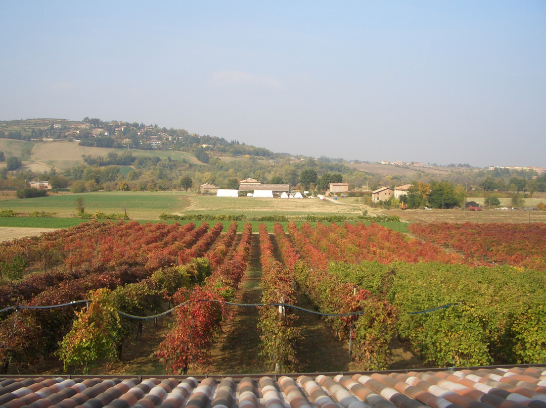 Sol Levante Tour-博洛尼亚必去景点