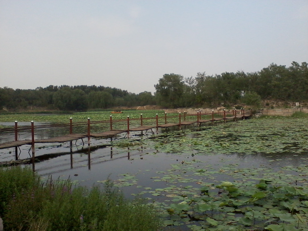圆明园-北京市必去景点