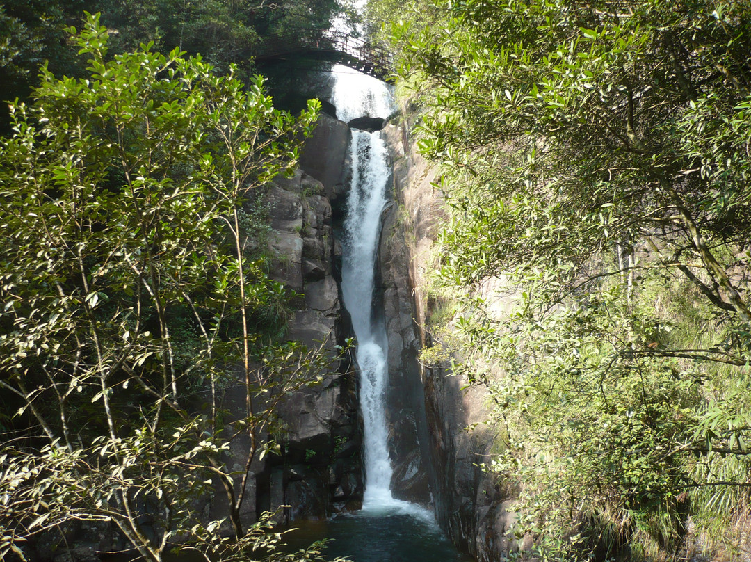 姑婆山国家森林公园景点图片