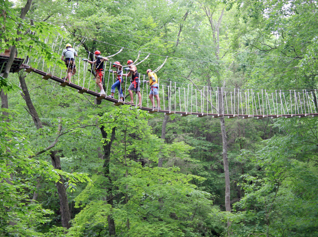 Hocking Hills Canopy Tours-Rockbridge必去景点