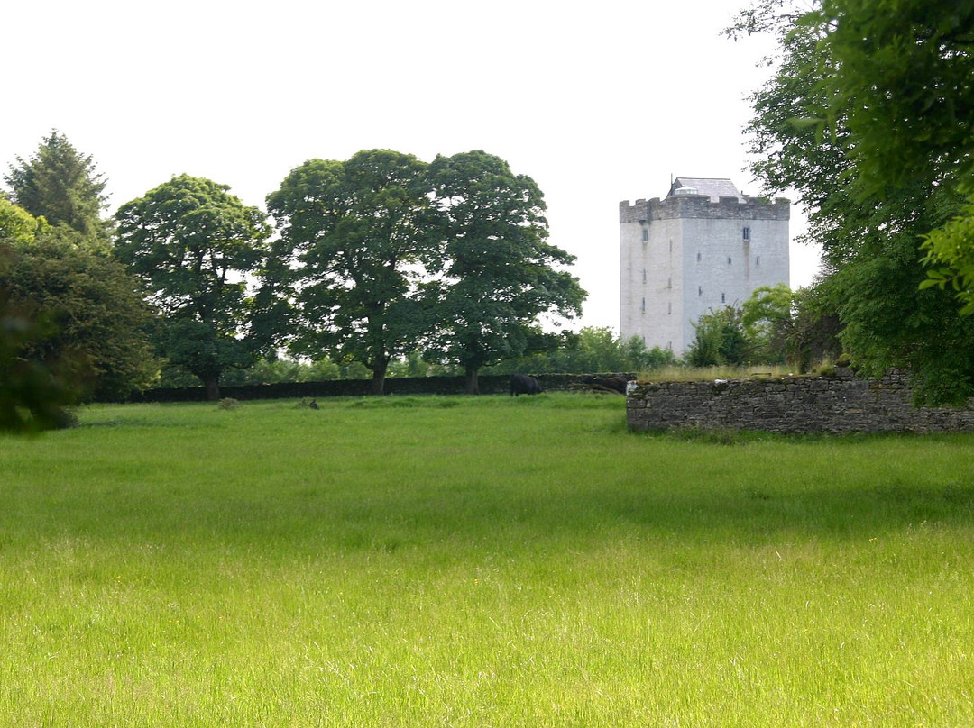 Turin Castle Ireland
