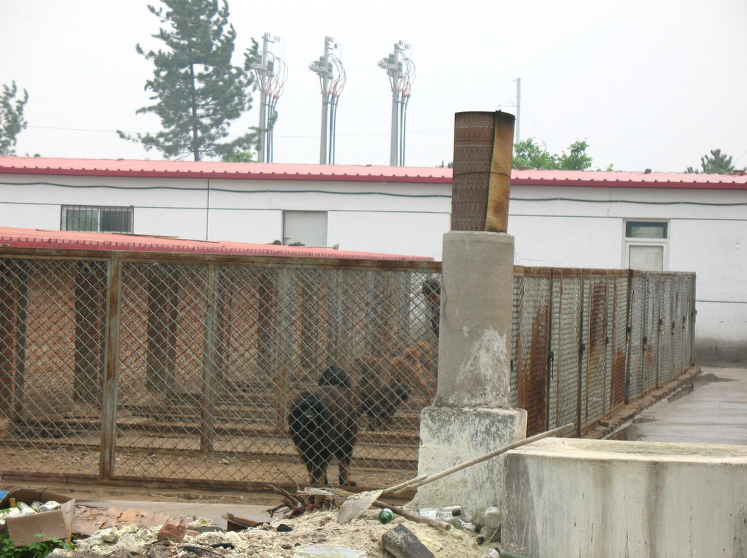 燕龙大酒店主图