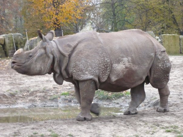 Miejski Ogrod Zoologiczny w Warszawie-华沙必去景点