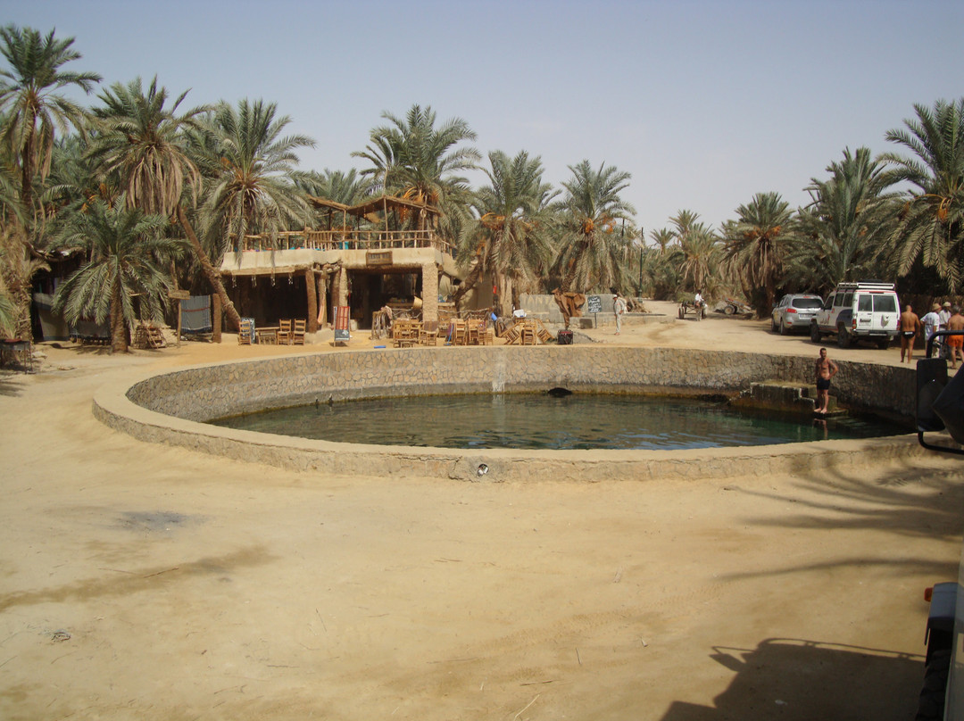 Cleopatra's Pool - Spring of Juba-西瓦必去景点