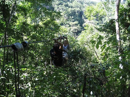 Los Veranos Canopy Tour景点图片