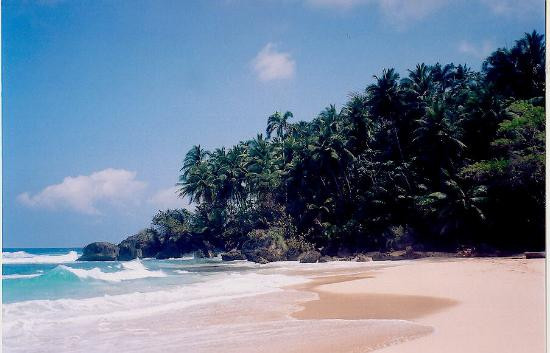 Hotel Playa Grande主图