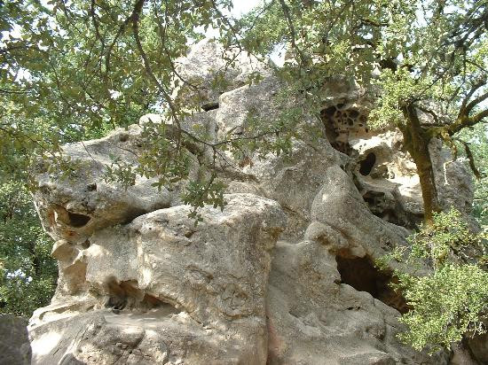 Alum Rock Park-圣何塞必去景点