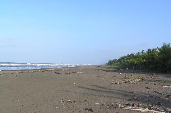 Tortuguero National Park景点图片