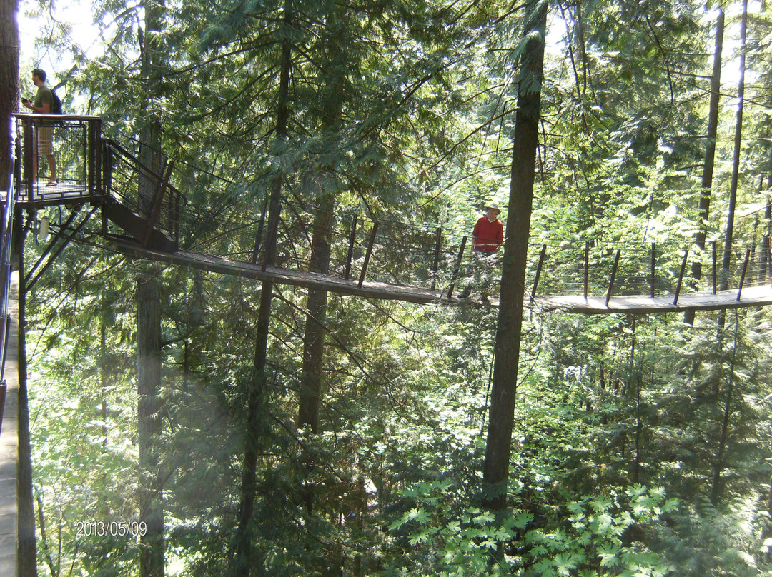 卡皮拉诺吊桥及公园-北温哥华必去景点