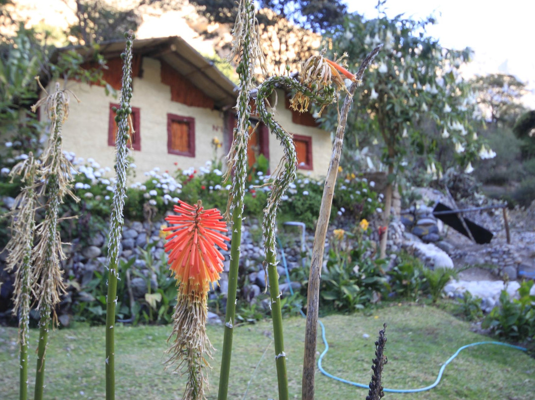 Oasis Sangalle-Cabanaconde必去景点