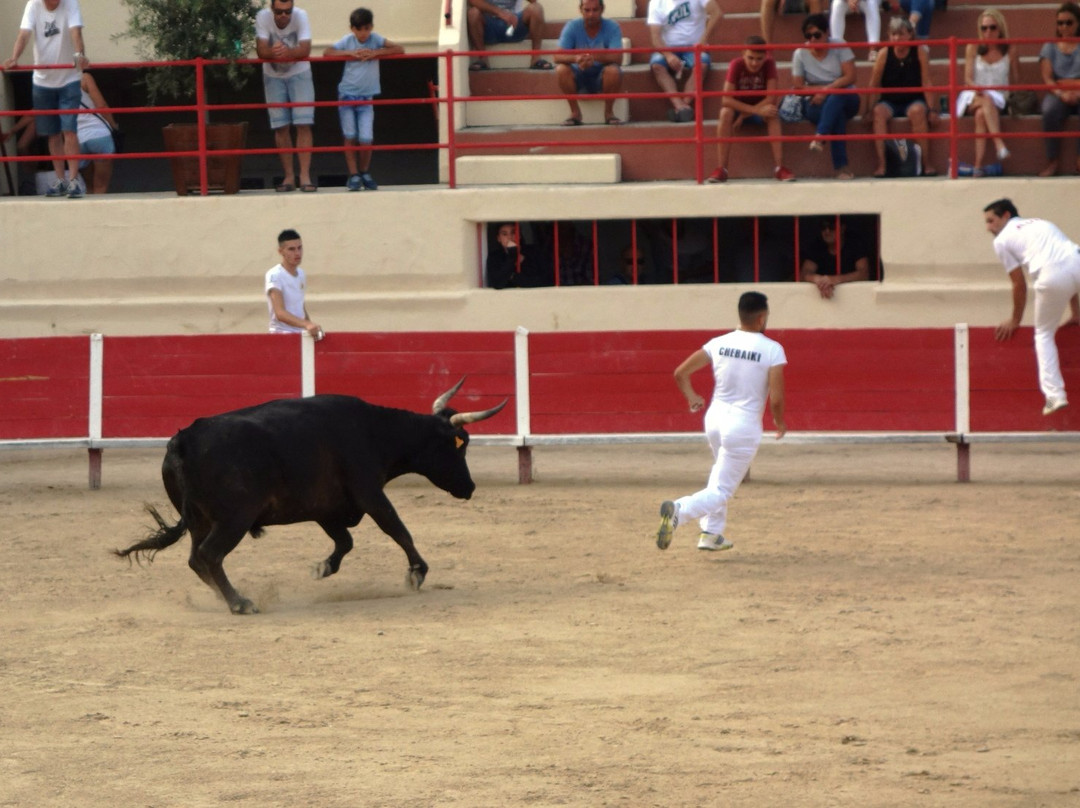Les Arenes de Perols