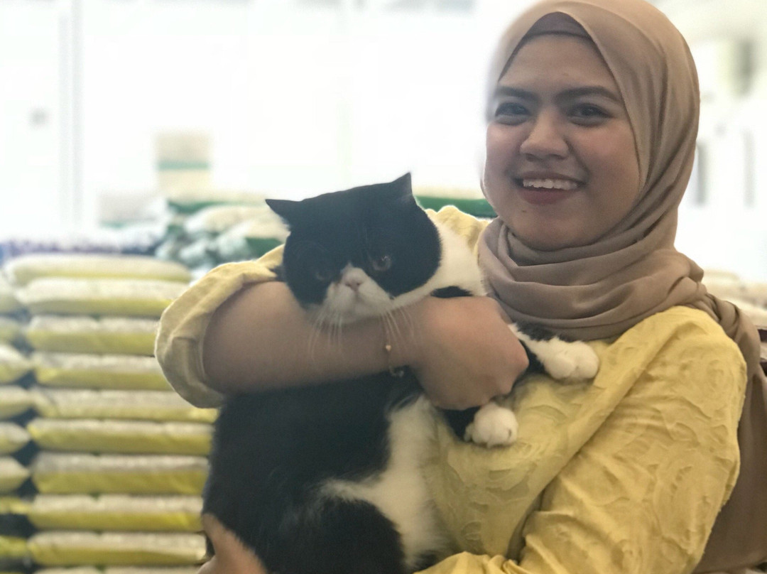 Cat Studio & Café at Pet Paradise-亚庇必去景点