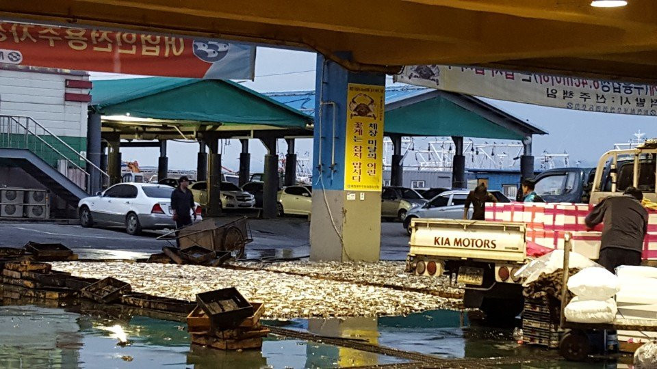 舒川郡餐馆和美食-Annyeongine Hoetjip