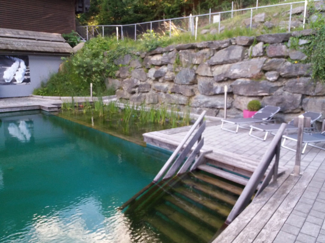 art-lodge Skulpturenpark kunstalm-Afritz必去景点