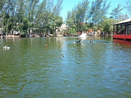 Treze de Maio餐馆和美食-Restaurante Do Lago
