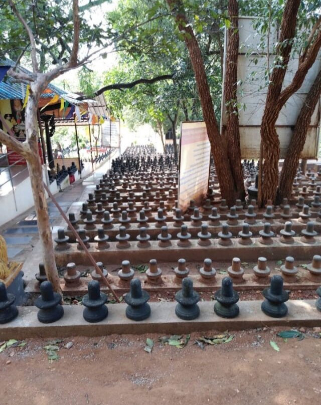 Kodi Lingam Temple景点图片