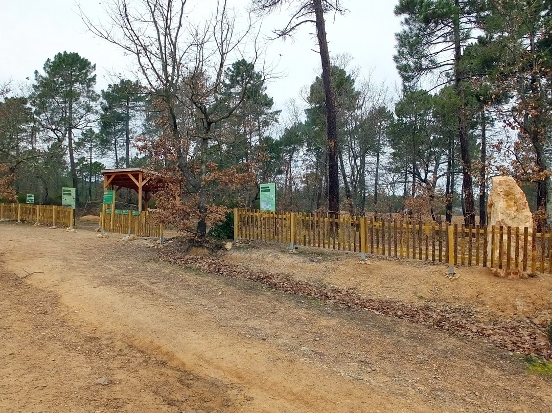 CAREX - Centre d'Archéologie Expérimentale - Promenades archéologiques