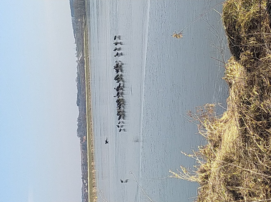 Vilstalsee Marklkofen-Marklkofen必去景点