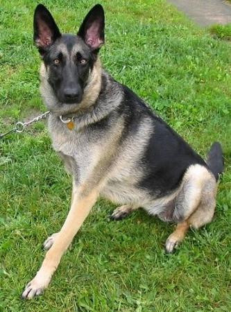 Portage旅游攻略图片