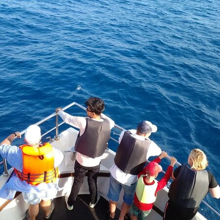 ECO TAXI Ella-埃勒必去景点