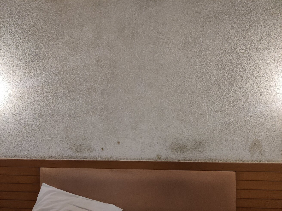 Hotel City Park Solapur主图