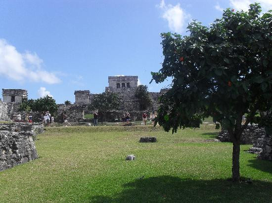 Alma's LDS Tours-坎昆必去景点