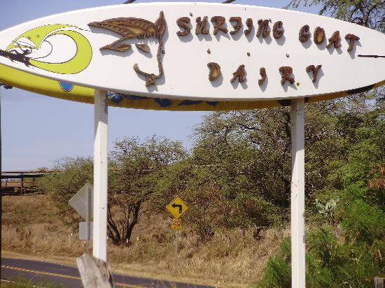 冲浪山羊农场-库拉必去景点