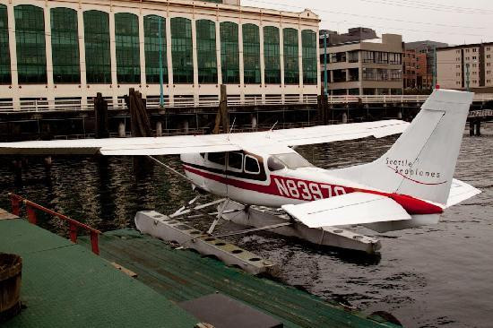 Seattle Seaplanes景点图片