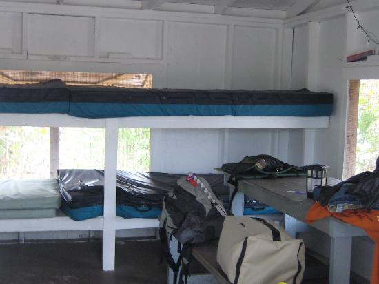 Cayo Costa State Park-Boca Grande必去景点