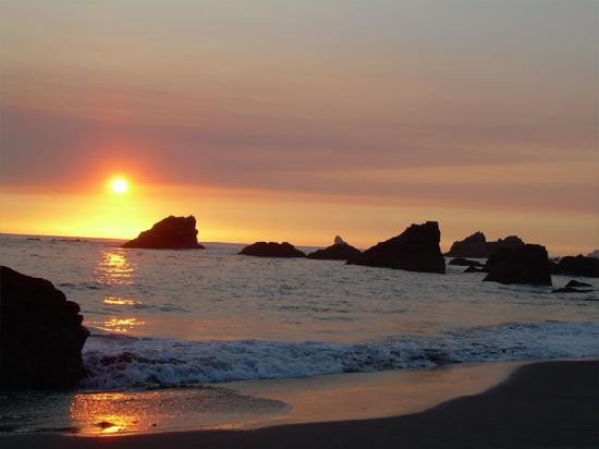 Harris Beach State Park景点图片