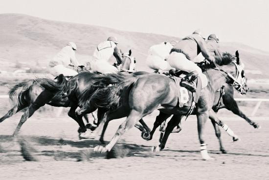 Montana ExpoPark-大瀑布市必去景点