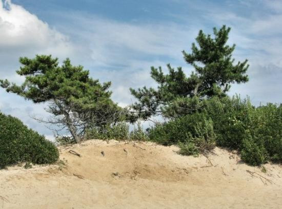 Hammonasset Beach State Park-麦迪逊必去景点