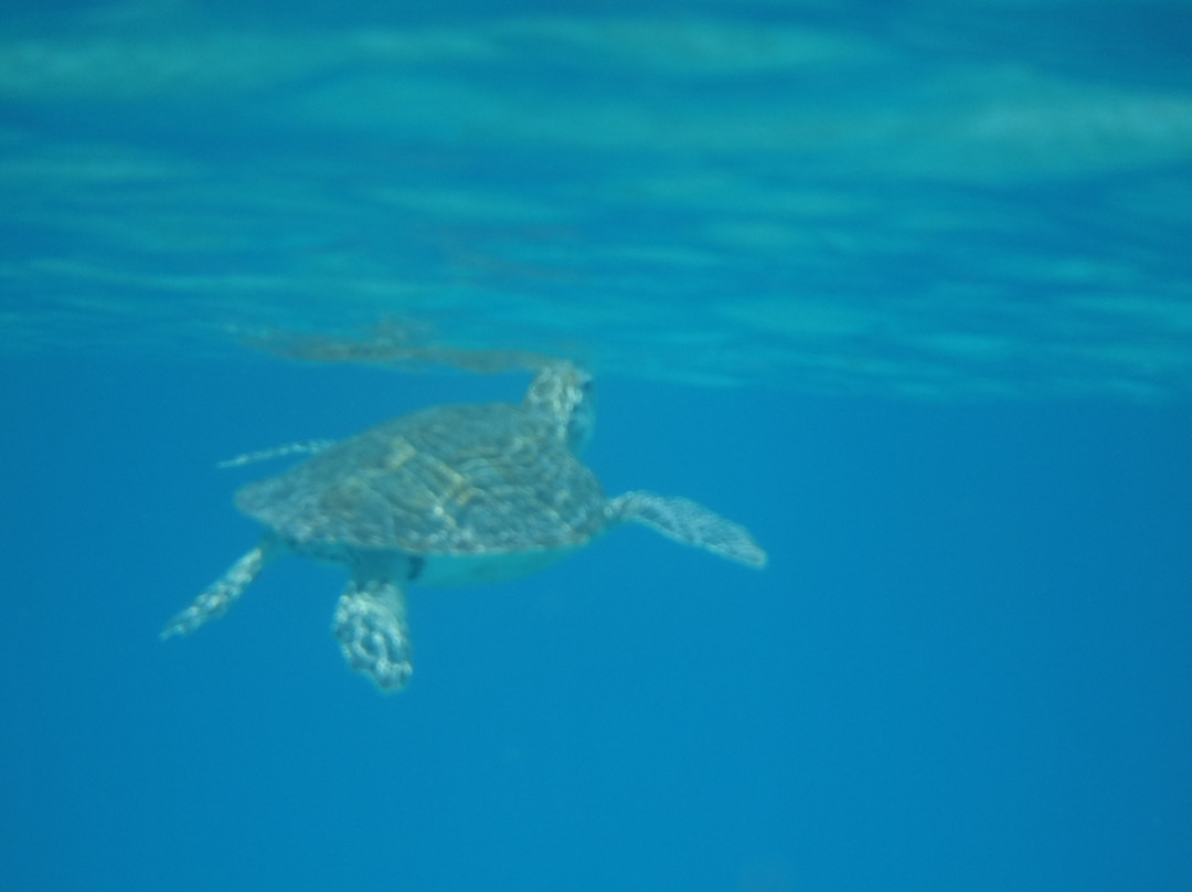 Sand Castle On The Beach主图
