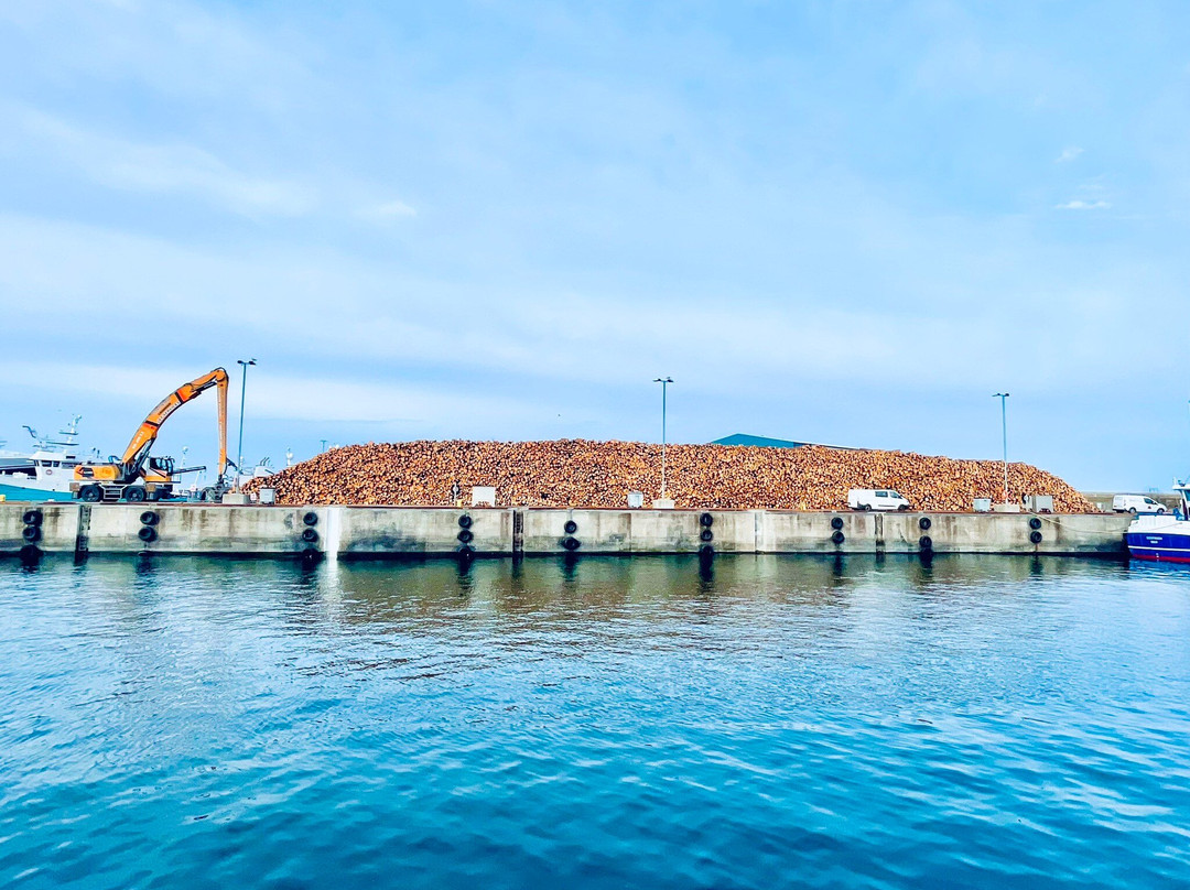 Fraserburgh Harbour-Fraserburgh必去景点