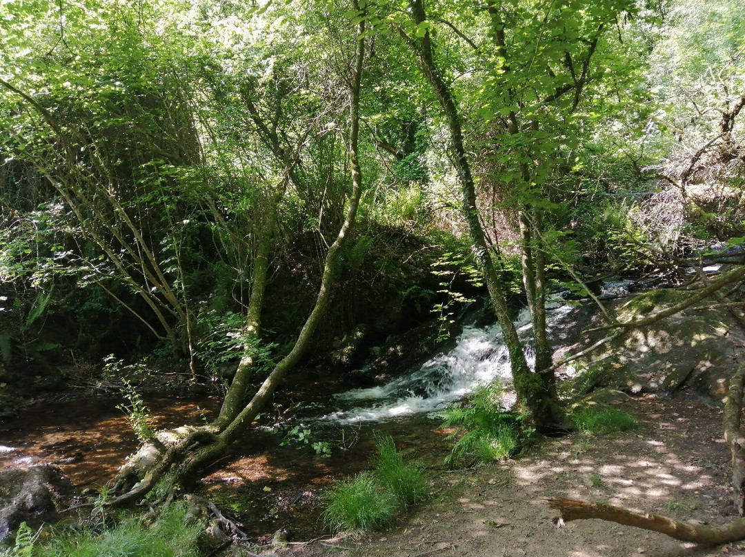 Lizio Walking Trails景点图片