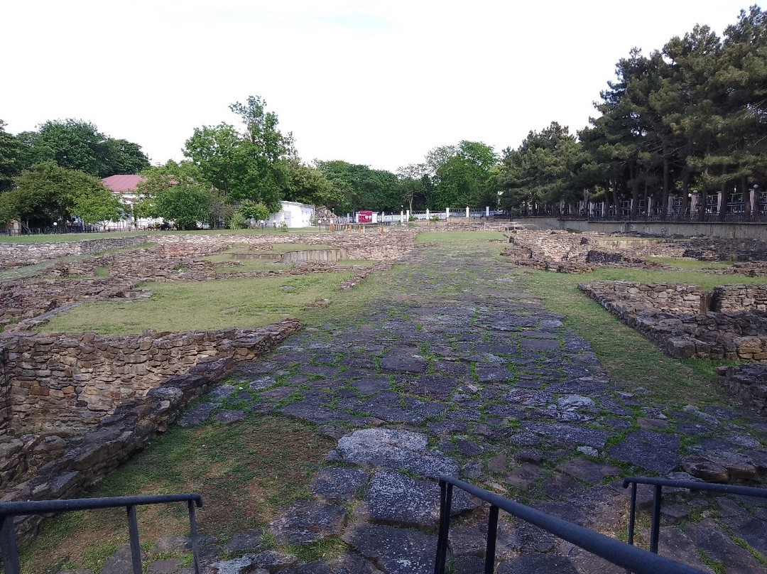 Gorgippiya Anapa Archeological Museum景点图片