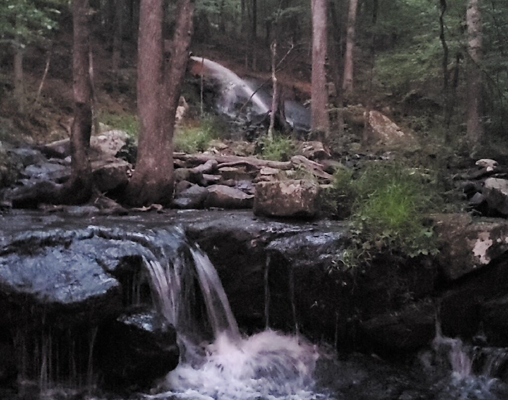 Collins Creek Cascade景点图片