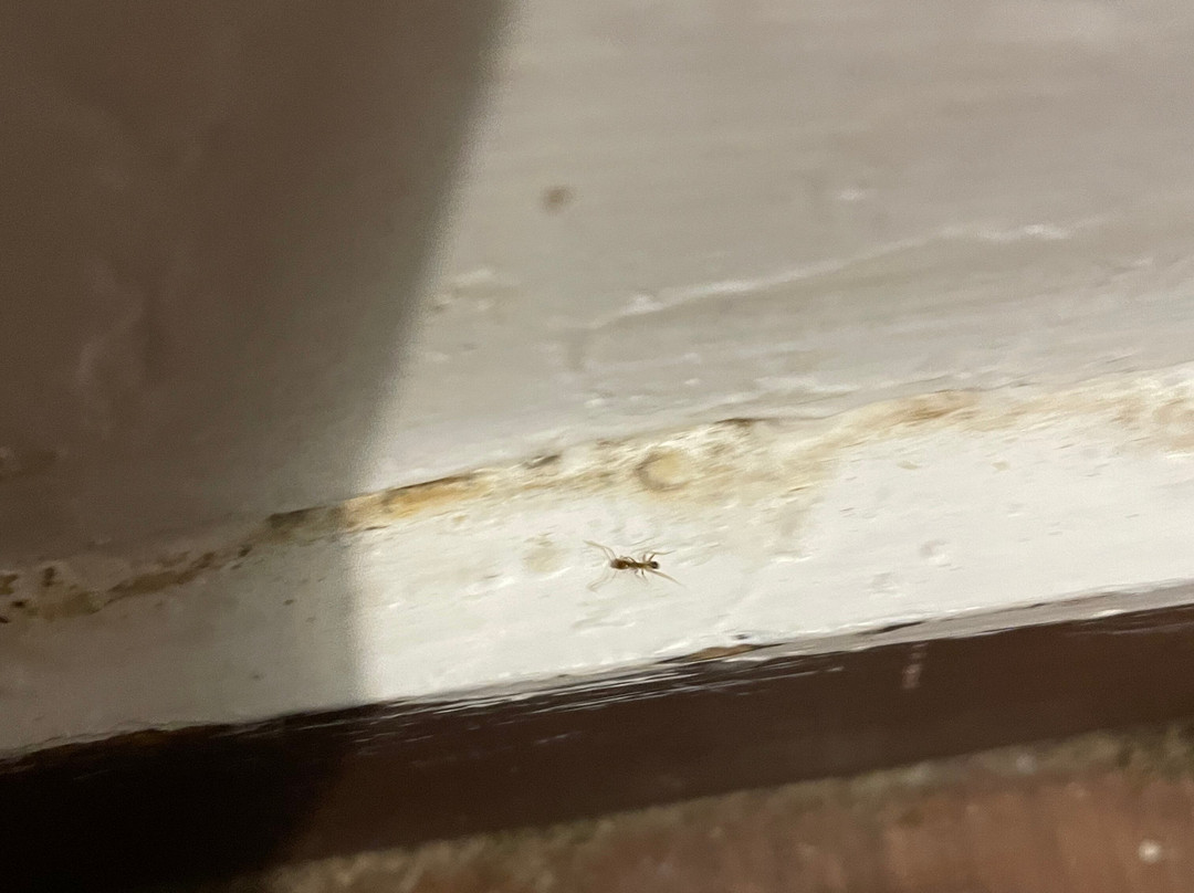 Silver Sand Beach Resort, Havelock主图