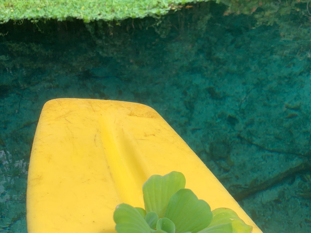 Matevulu Blue Hole-埃斯皮里图桑托岛必去景点