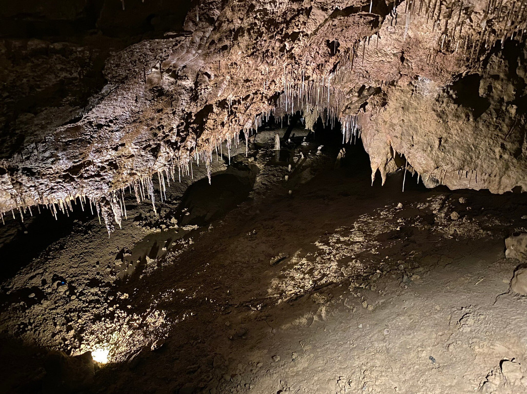 Crag Cave-Castleisland必去景点