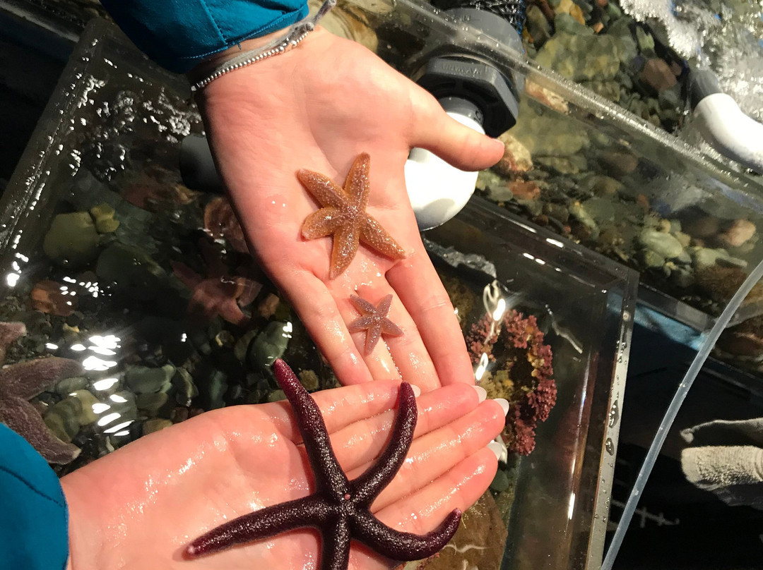 Fishing For Success At Island Rooms Of Petty Harbour-Petty Harbour必去景点