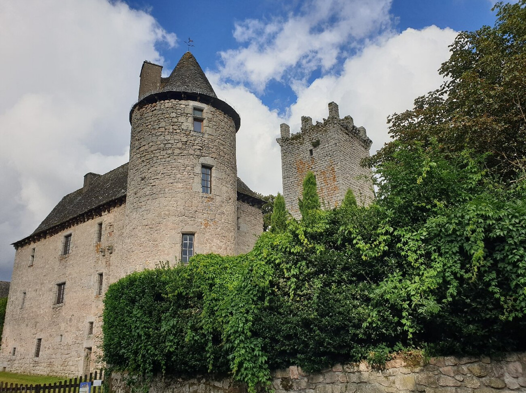 Tour du château de Sénergues景点图片