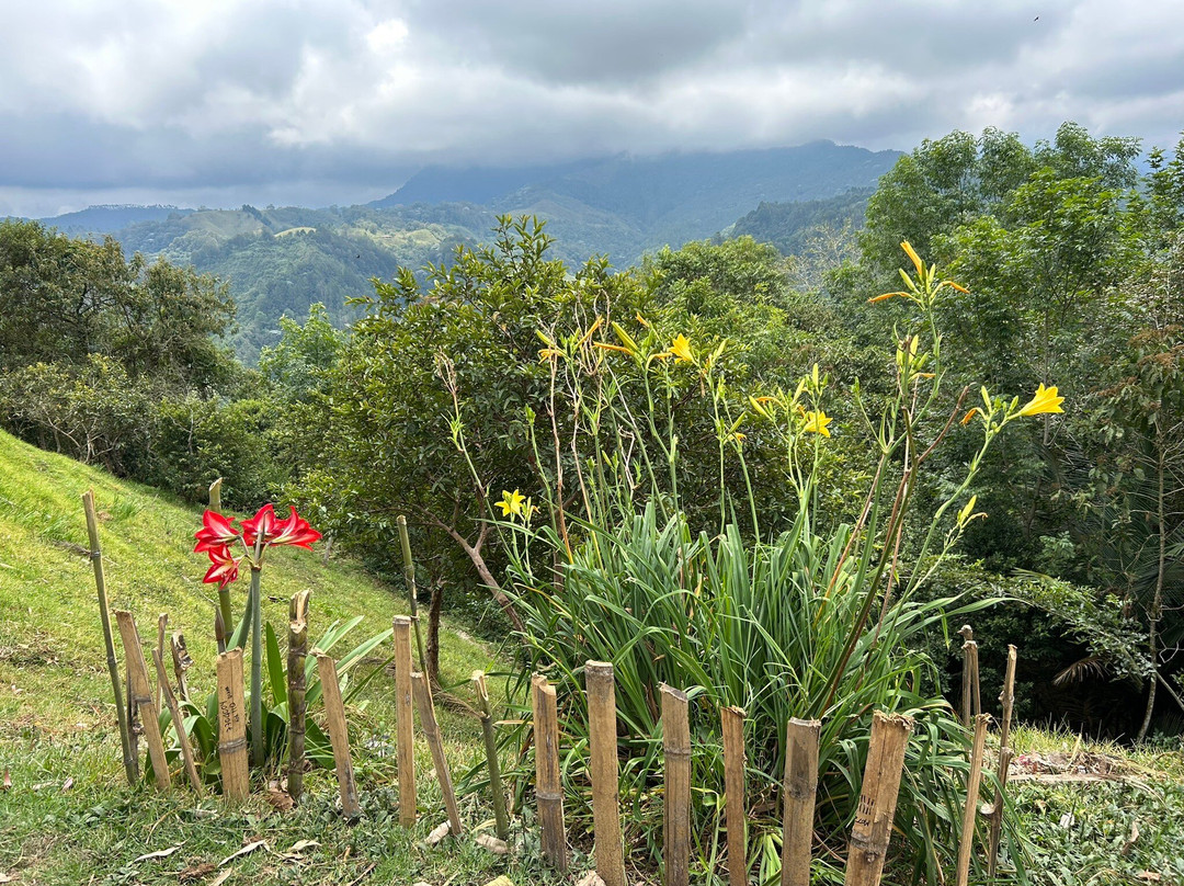 Ecoparque the Mirador Alto De La Cruz-萨伦托必去景点