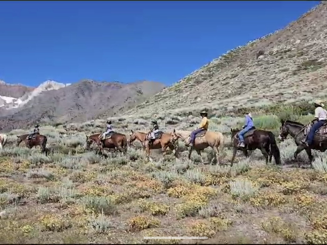 McGee Creek Pack Station-马姆莫斯湖必去景点